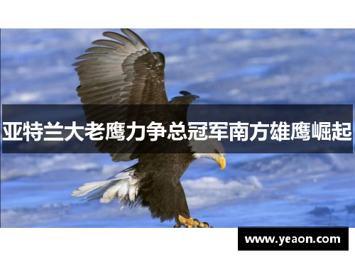 亚特兰大老鹰力争总冠军南方雄鹰崛起 亚特兰大老鹰力争总冠军南方雄鹰崛起